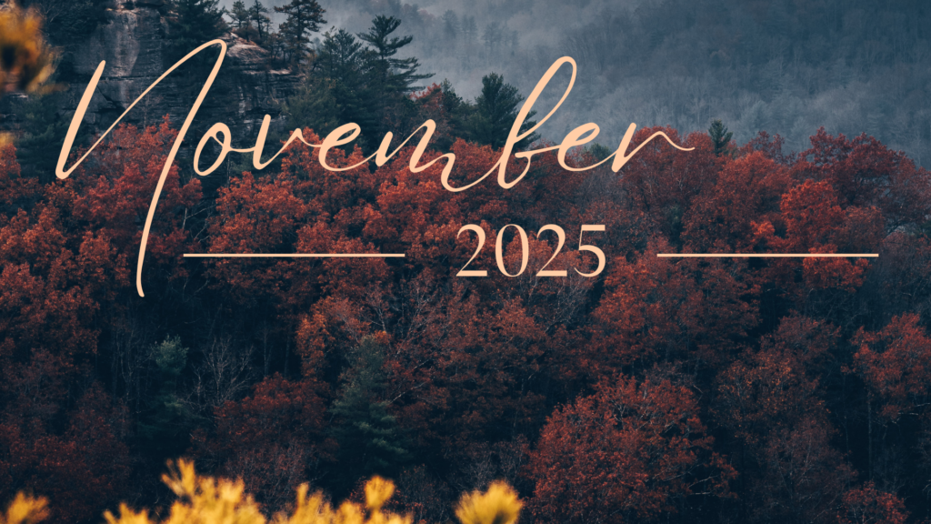 November 2025